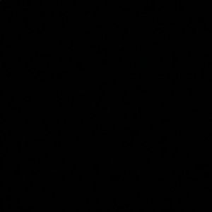 Meet your Posher, Iesha